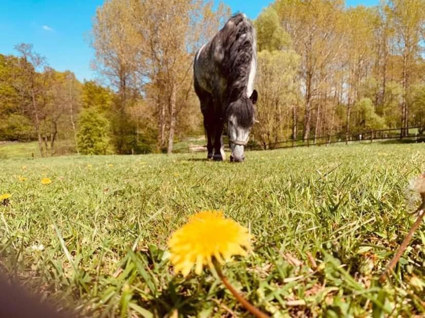 Faire Une Pause Avec Le Temps Thimister Exterior foto